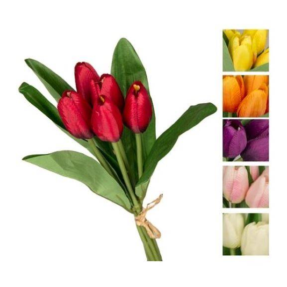 VEA BUSH 5 TULIPANI OLANDA 