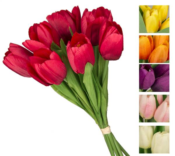 VEA BUSH 7 TULIPANI OLANDA 