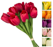 VEA BUSH 7 TULIPANI OLANDA 