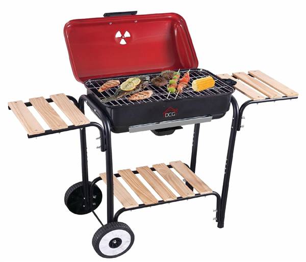 DCG BARBECUE ELETTRICO BQS2498 