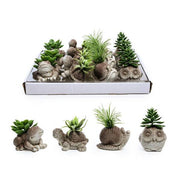 MERCURY PIANTA IN VASO ANIMALE 9X7XH.7