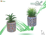 FGF VASO CERAMICA CON PIANTINE ASS