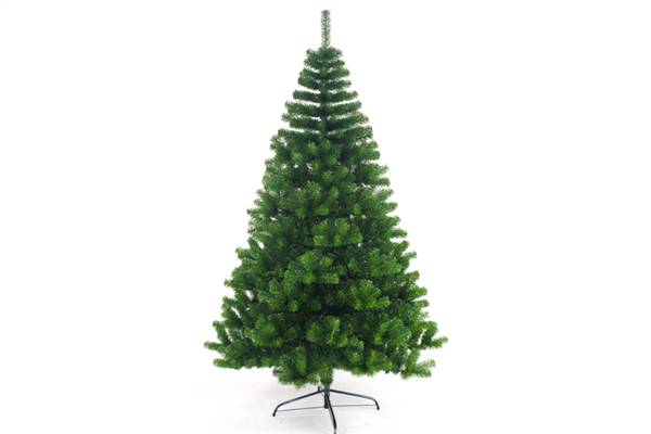 PARTENOPE ALBERO ROCCARASO 210CM 