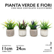 MMZ PIANTA LAVANDA DM.11 H.24 4ASS. 