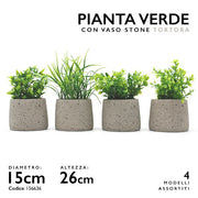 MMZ PIANTA VERDE VASO STONE DM.15 H.26