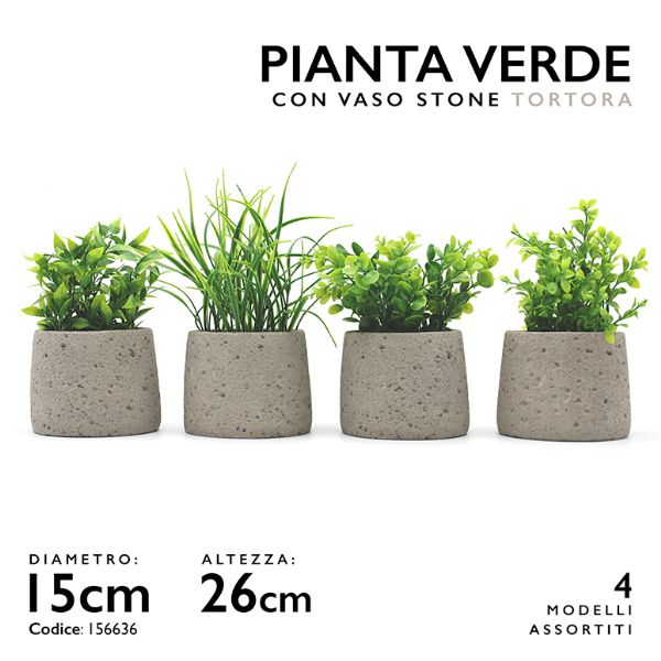 MMZ PIANTA VERDE VASO STONE DM.15 H.26