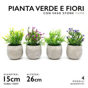 MMZ PIANTA VERDE VASO FUME' DM.15 H.26