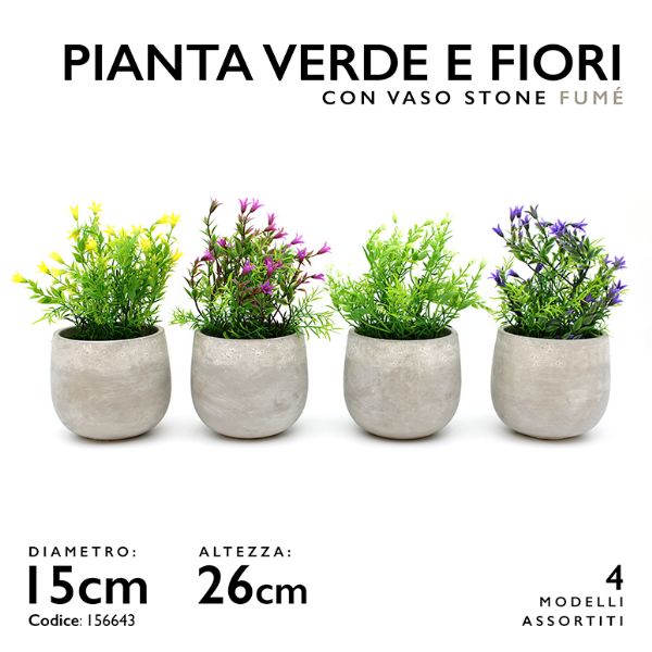 MMZ PIANTA VERDE VASO FUME' DM.15 H.26