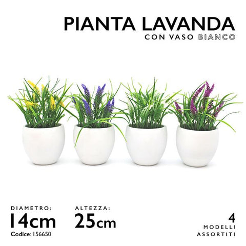 MMZ PIANTA LAVANDA VASO BIANCO DM14 H.25