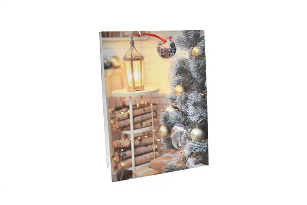 PARTENOPE BUSTA NATALE 210GR 33X10.5X45 