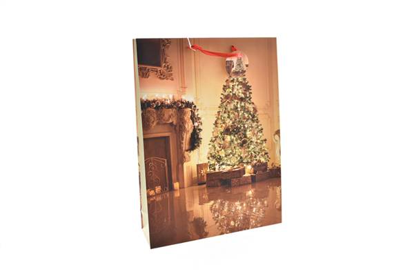 PARTENOPE BUSTA NATALE 210GR 33X10,5X45 