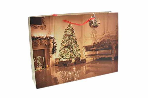 PARTENOPE BUSTA NATALE 210GR 46X11X33 