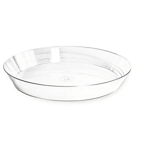 REAL DREAM VASSOIO BAVARESE CM.34 5PZ