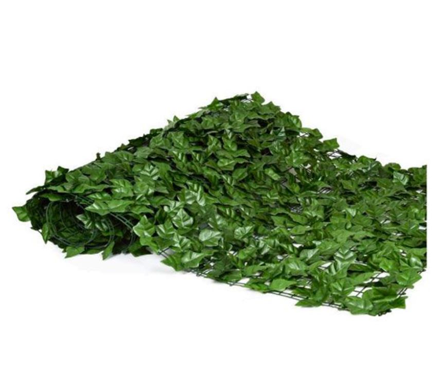 SIEPE EDERA SEMPREVERDE 1X3 MT