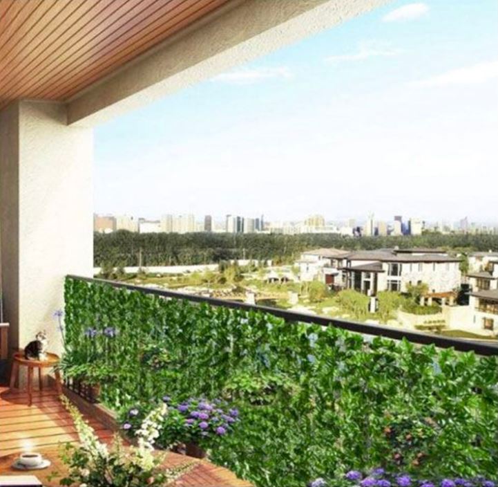 SIEPE EDERA SEMPREVERDE 1X3 MT