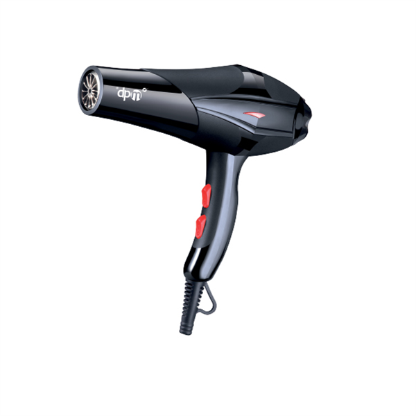 DPM ASCIUGACAPELLI MOTORE AC 2200W