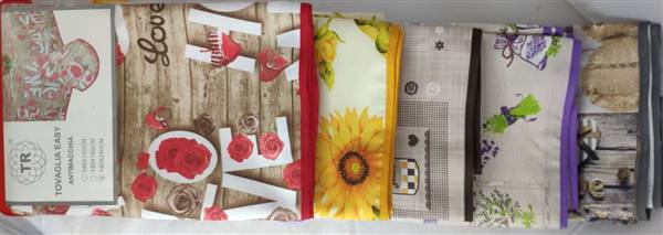 TR TOVAGLIA EASY ANTIMACCHIA 140X240 