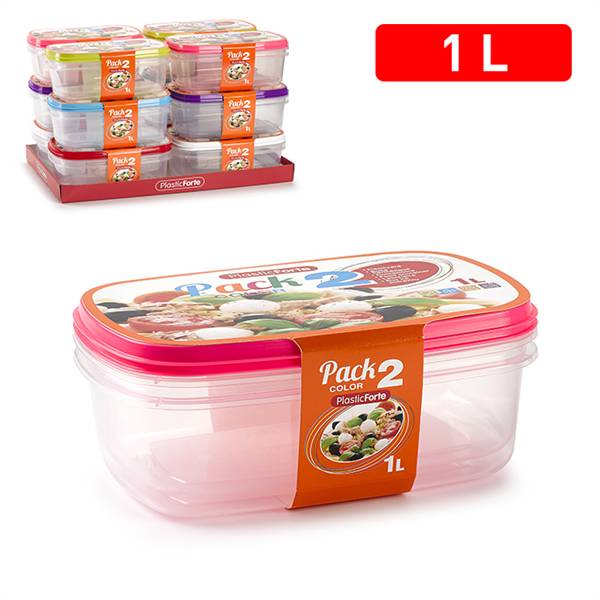 PLASTICFORTE CONTENITORI 2PZ 1LT 