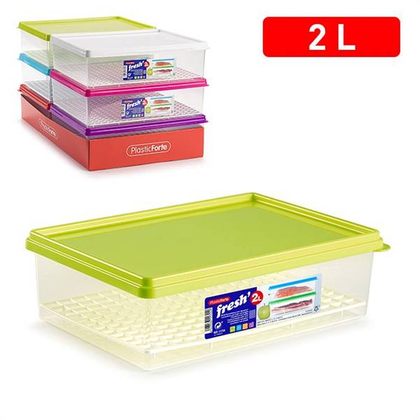 PLASTICFORTE CONTENITORE CON GRIGLIA 2LT 