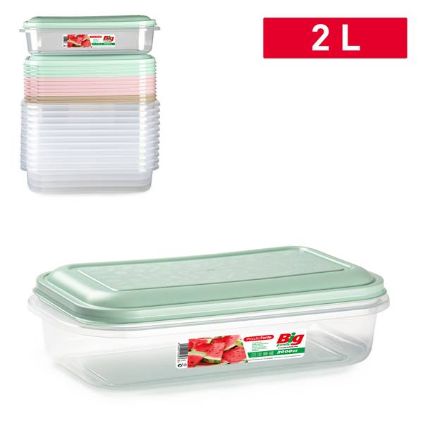 PLASTICFORTE CONTENITORE BIG 2LT SURT VRM