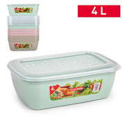 PLASTICFORTE CONTENITORE CLASSIC 4LT SURT VRM COMBI