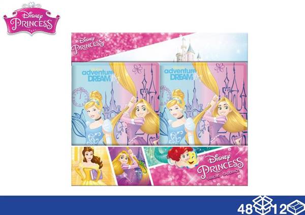 EOL E AGENDA 12X9 PRINCESS 