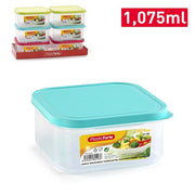 PLASTICFORTE CONTENITORE 1075ML FLEX QUA 