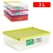PLASTICFORTE CONTENITORE CON GRIGLIA 3LT 