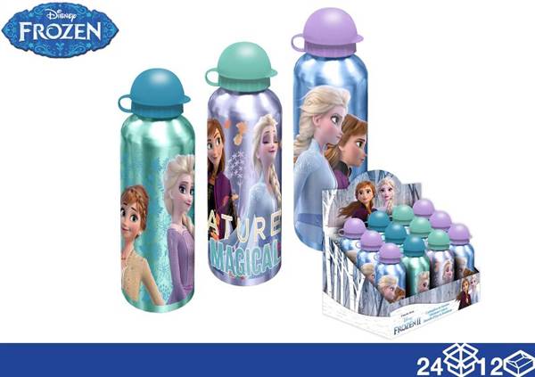 EOL BORRACCIA ALLUMINIO 500ML FROZEN2 