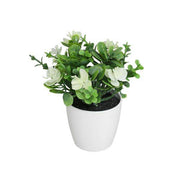 GERI ORCHIDEA-EUCALIPTO CM.15 