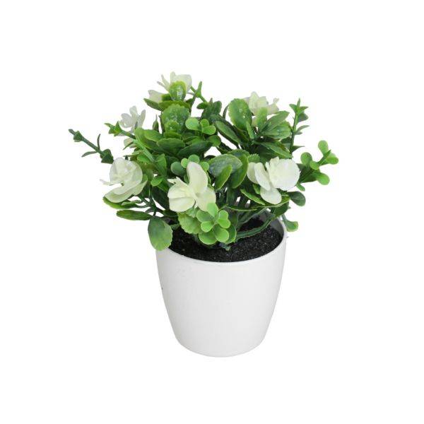 GERI ORCHIDEA-EUCALIPTO CM.15 