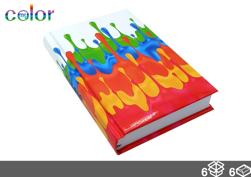 MYCOLOR DIARIO 12MESI ASS