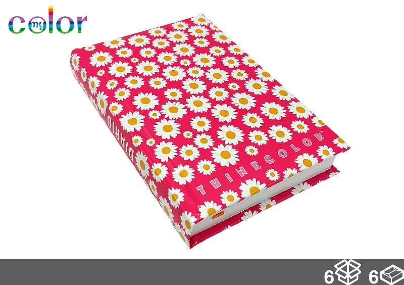 MYCOLOR DIARIO 12MESI ASS